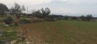Land For Sale Paphos Tremithousa LAND Cyprus Property Land Land - LAND