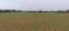 Land For Sale Paphos Tremithousa LAND Cyprus Property Land Land - LAND