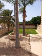Detached House For Rent Paphos Pegeia 3 bedrooms house Cyprus Property Residential Detached House - 3 bedrooms house