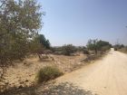 Land For Sale Paphos Anarita Land Cyprus Property Land Land - Land