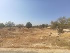 Land For Sale Paphos Anarita Land Cyprus Property Land Land - Land