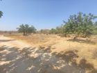Land For Sale Paphos Anarita Land Cyprus Property Land Land - Land