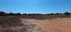 Land For Sale Paphos  Land Cyprus Property Land Land - Land