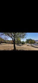 Land For Sale Paphos Armou Land Cyprus Property Land Land - Land