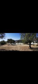 Land For Sale Paphos Armou Land Cyprus Property Land Land - Land