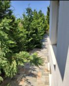 Villa For Sale Paphos Kissonerga Villa Cyprus Property Residential Villa - Villa