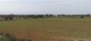 Land For Sale Paphos Tremithousa LAND Cyprus Property Land Land - LAND