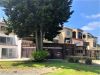 Shop For Sale Paphos Kato Pafos SHOP Cyprus Property Commercial Shop - SHOP