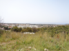 Land For Sale Paphos Pegeia PLOT Cyprus Property Land Land - PLOT